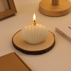Seashell Soy Candle Set  Coastal-Inspired Decorative Collection