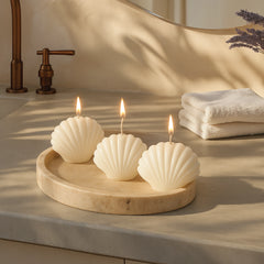 Seashell Soy Candle Set  Coastal-Inspired Decorative Collection